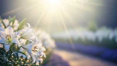 Biblical Meaning of Lily Name