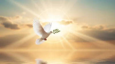 Biblical Meaning of Seeing a Dove