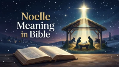 Noelle Meaning in Bible